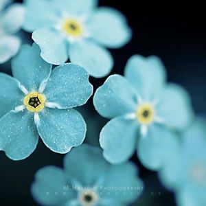 Meet your Posher, Marina